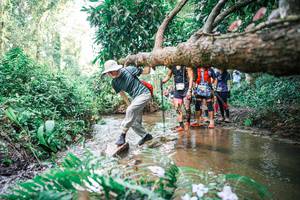 BIB: 
                            <button type="button" onclick="openModal(25514155)" class="btn btn-primary btn-sm float-right btn-popup" data-toggle="modal" data-target=".modal-high-quality">
                        <i class="fas fa-shopping-cart"></i> Add to Cart
                    </button>
                                            <button type="button" onclick="isThisMe(25514155, true)" class="btn btn-success btn-sm float-right btn-popup btn-isme hidden" data-toggle="tooltip" data-placement="bottom" title="นี่คือรูปของคุณใช่ไหม คลิกที่นี่เพื่อเอาเข้าอัลบั้ม">
                        <i class="fas fa-plus"></i> Add to album
                    </button>
                    <button type="button" onclick="isThisMe(25514155, false)" class="btn btn-warning btn-sm float-right btn-popup btn-isnotme hidden">
                        <i class="fas fa-ban"></i> Remove from album
                    </button>